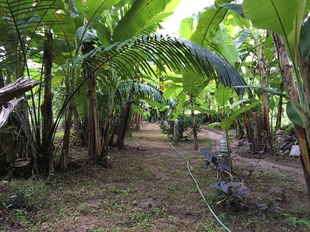Paipunthong Resort Buitenkant foto
